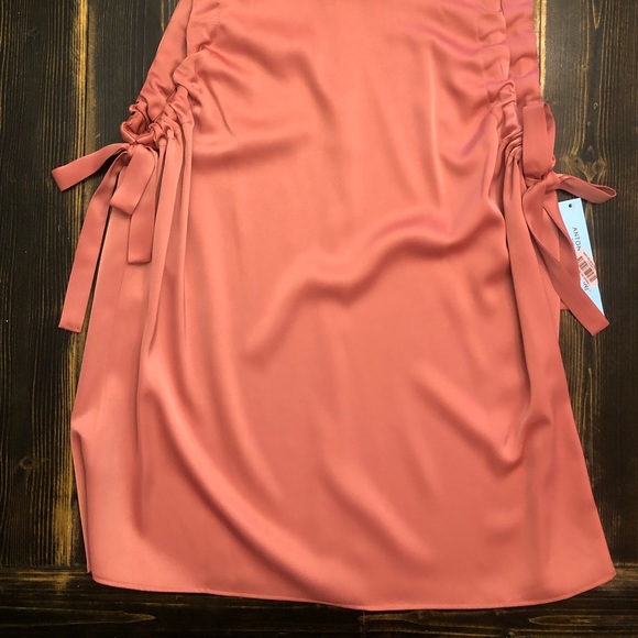 ANTONIO MELANI(Dillard's) Coral Haze Sleeveless DERRICK Blouse SZ SMALL - Picture 3 of 6